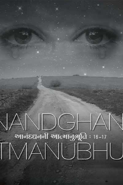 આનંદ ધનની આત્માનુભૂતિ :- 16,17