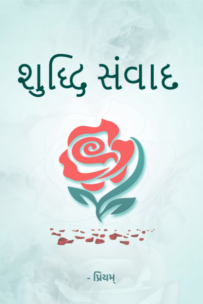 શુદ્ધિ સંવાદ